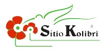kolibri